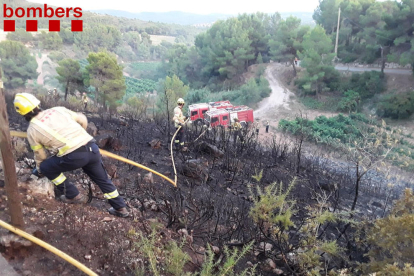 El flanco izquierda del fuego se ha podido detener antes de que pudiera afectar a una zona de viñas.