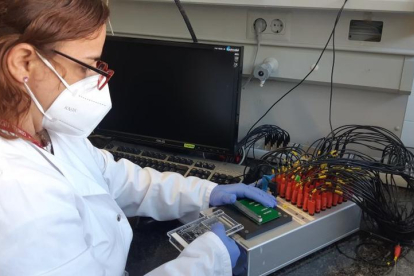 Una imagen de la plataforma sensora, que consiste en una microfluídica acoplada a una matriz de electrodos para la detección del VPH (virus del papiloma humano) desarrollado en el proyecto ELEVATE.