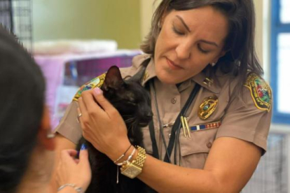Una agente acaricia a Binx, el gato que sobrevivió al derrumbe del edificio de Miami.