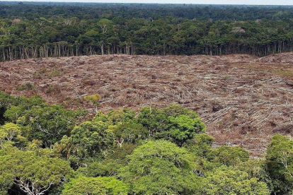 La deforestación del Amazonas es uno de los problemas recurrentes.