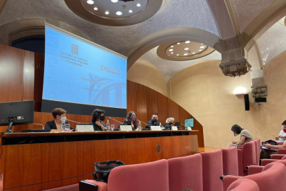 Mesa del Consejo Nacional LGTBI celebrado de manera presencial y telemática en Barcelona.
