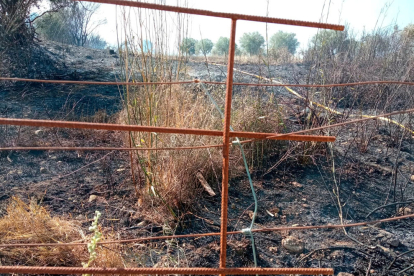 Punto donde se ha iniciado el incendio agrícola de Vilafant, provocado por los trabajos con una sierra radial.