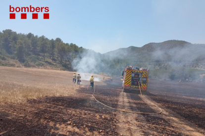 Una dotación de los Bomberos remoja uno de los campos calcinados en el incendio de Sant Jaume dels Domenys.
