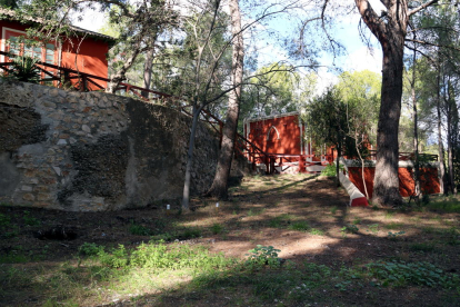 Imatge d'alguns dels antics pavellons de l'Observatori de l'Ebre entre els arbres i el bosc que l'acullen.