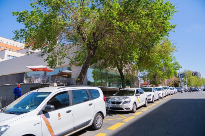 Diversos taxis estacionats a la parada de l'Hospital Joan XXIII de Tarragona.