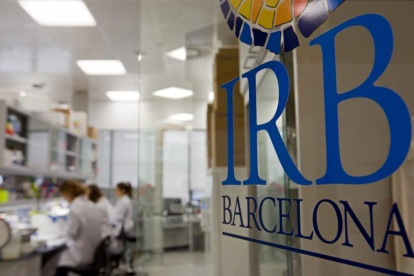 Imagen de archivo de un laboratorio del IRB de Barcelona.