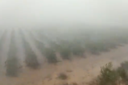 Captura del vídeo de la tormenta, que afecta una zona de viñas.