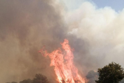 El cap de l'incendi de Santa Coloma de Queralt ha saltat la carretera B-220 i ha agafat massa forestal.