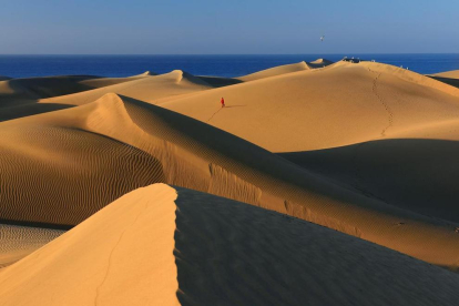 Las dunas de Maspalomas, en el sur de Gran Canaria, son uno de los principales atractivos de la isla.