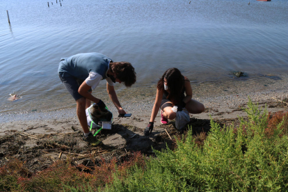 Dos voluntaris fotografiant residus durant l'acció feta a la badia dels Alfacs.