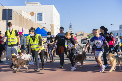 Los perros llenan el paseo de l'Escullera de Tarragona en el IV Canicross Solidario