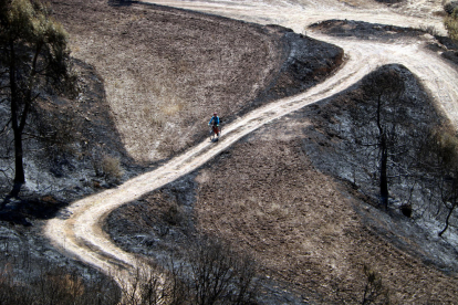 Un ciclista subiendo por el camino de acceso al castillo de Queralt.