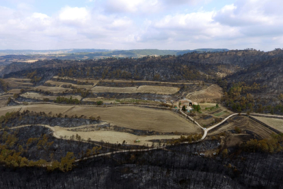 Zonas forestales y agrícolas afectadas por el incendio de la Conca de Barberà y Anoia