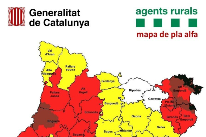 El Govern activa el Pla Alfa aquest dissabte amb control d'accessos en punts de la demarcació de Tarragona