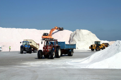 Las máquinas y los tractores trabajando en la recogida de sal en las Salines de la Trinitat.