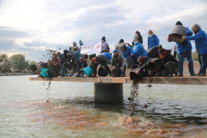 El vertido de sedimentos en el río por parte de las entidades defensoras del Delta en la acción simbólica celebrada al parque fluvial de Deltebre.