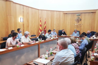 Imagen del pleno del Consell Comarcal del Baix Ebre.