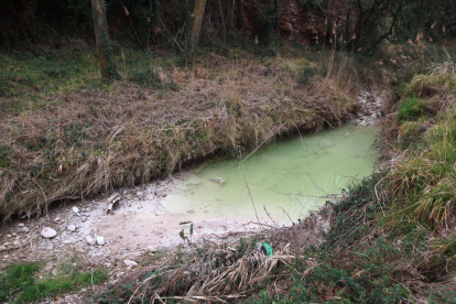 Els ecologistes denuncien un vessament d'aigües amb sediments provinents d'una empresa d'àrids i formigó al riu Glorieta.