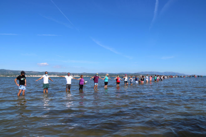 Los participantes haciendo la cadena humana a la bahía del Fangar, en l'Ampolla (Baix Ebre), para denunciar la regresión que sufre el delta del Ebro.