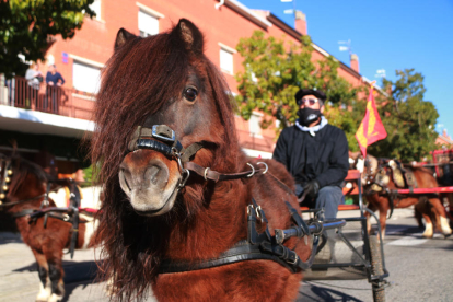 Uno de los carros participantes en la 43a edición de los Tres Tombs de Valls.