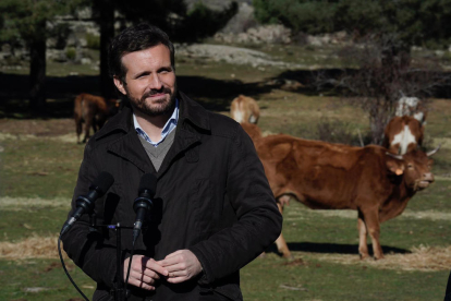 El líder del PP, Pablo Casado, a una granja de Las Navas del Marqués