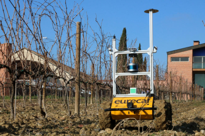 Un robot de un proyecto de Eurecat recorre el viñedo para captar datos destinados a aplicar inteligencia artificial al cultivo.
