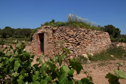 Una barraca de piedra seca, afectada por el PDUAE, en el término municipal de Vila-rodona, en el Alt Camp.