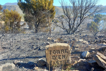 Imatge de l'incendi de Roses aquest mes de febrer