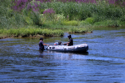 Operativo de búsqueda en el río Ebro del joven desaparecido este lunes en Benissanet.