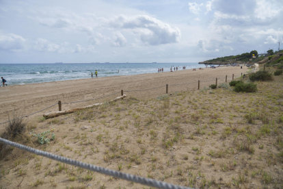 Los temporales han afectado a las posibilidades de la playa Larga.