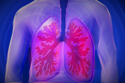 Imatge d'arxiu d'una il·lustració dels pulmons