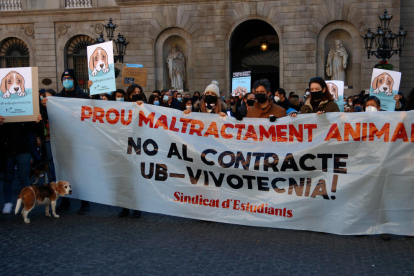 Diverses persones sostrenen una pancarta que reclama posar fi al maltractament animal i rebutja el contracte de la UB amb Vivotecnia