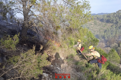 Imatge dels Bombers a l'incendi forestal d'Ascó.