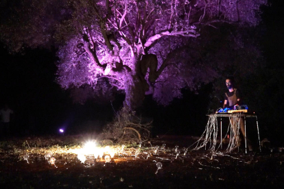 Un DJ punxa al costat d'una olivera monumental en la proposta musical del festival iber Tyrika d'Alcanar, l'any passat.