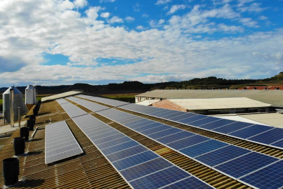 Pla general de plaques solars instal·lades a la teulada d'una granja, en una imatge d'arxiu.