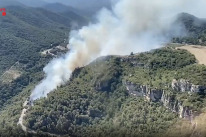Imatge de l'incendi de vegetació pròxim a la C-242 a Alforja, al Baix Camp.