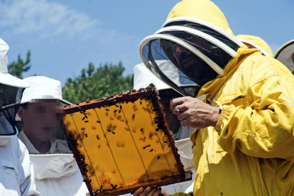 Un apicultor mostrant una bresca amb abelles.