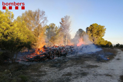 Imagen de los troncos que se han incendiado en la zona de Sant Salvador, en Tarragona.