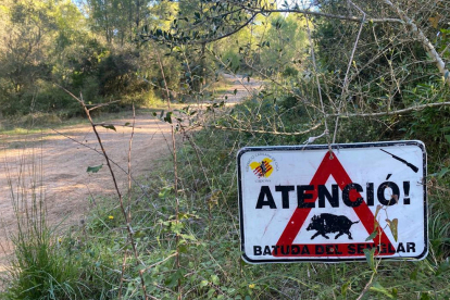 Un cartel que alerta de una batida de jabalí en una zona boscosa del parque natural del Montgrí.