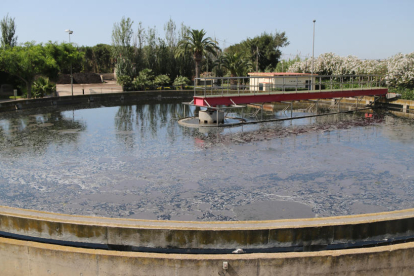 Imatge d'arxiu d'una de les piscines de les instal·lacions d'Aigües de Reus.