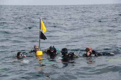 Un grupo de submarinistas se prepara para iniciar la inmersión en las sepieras de l'Ametlla de Mar.