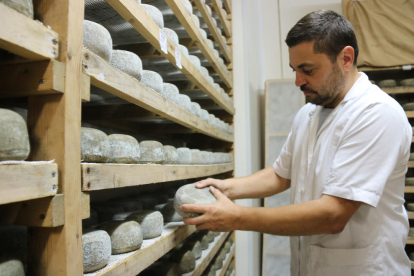 Josep Martí, president del gremi a Catalunya, fregant uns formatges elaborats a l'empresa familiar que regenta a Albió.
