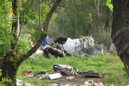 Perros en un entorno deplorable, en una finca en Alcover (Alt Camp) donde interviene el Seprona.