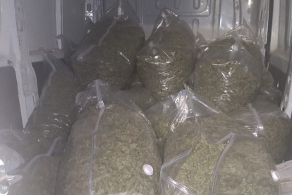 Imatge dels 260 quilograms de cabdells de marihuana que van confiscar els Mossos d'Esquadra a Reus.
