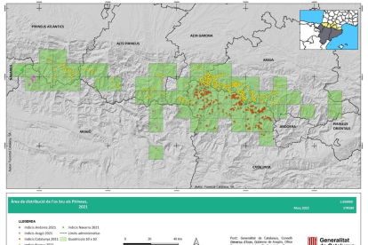 Mapa indicis de presència detectats l'any 2021