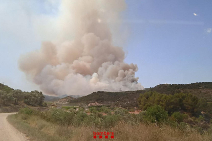 Imagen del incendio forestal de Corbera d'Ebre.