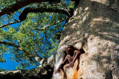 'Mamody, l'últim excavador de baobabs' serà el documental inaugural