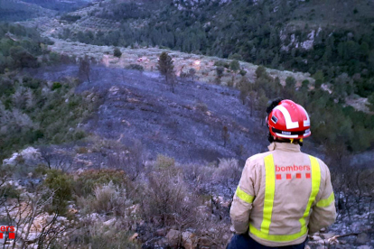 Un bomber observa la zona calcinada al barranc de Povet, al terme municipal de Tortosa.