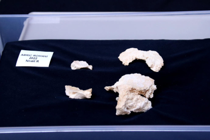 Detalle de los restos de cráneo que se han encontrado en el Abric Romaní.