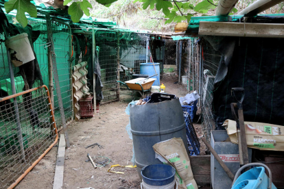 Espai ple de brutícia on malvivien 17 gossos rescatats a Banyeres.